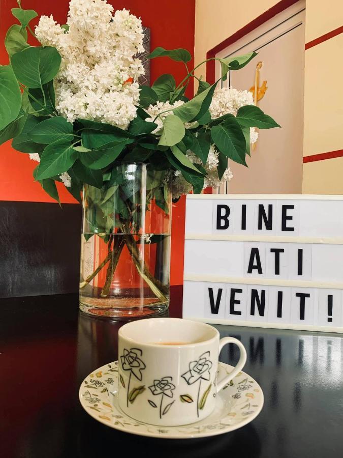 Pensiunea Pastravul Hotel Cartisoara Luaran gambar