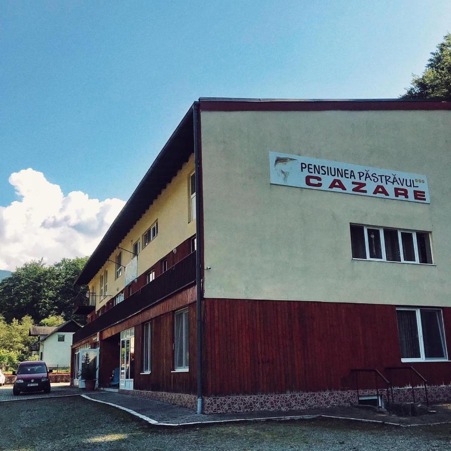 Pensiunea Pastravul Hotel Cartisoara Luaran gambar
