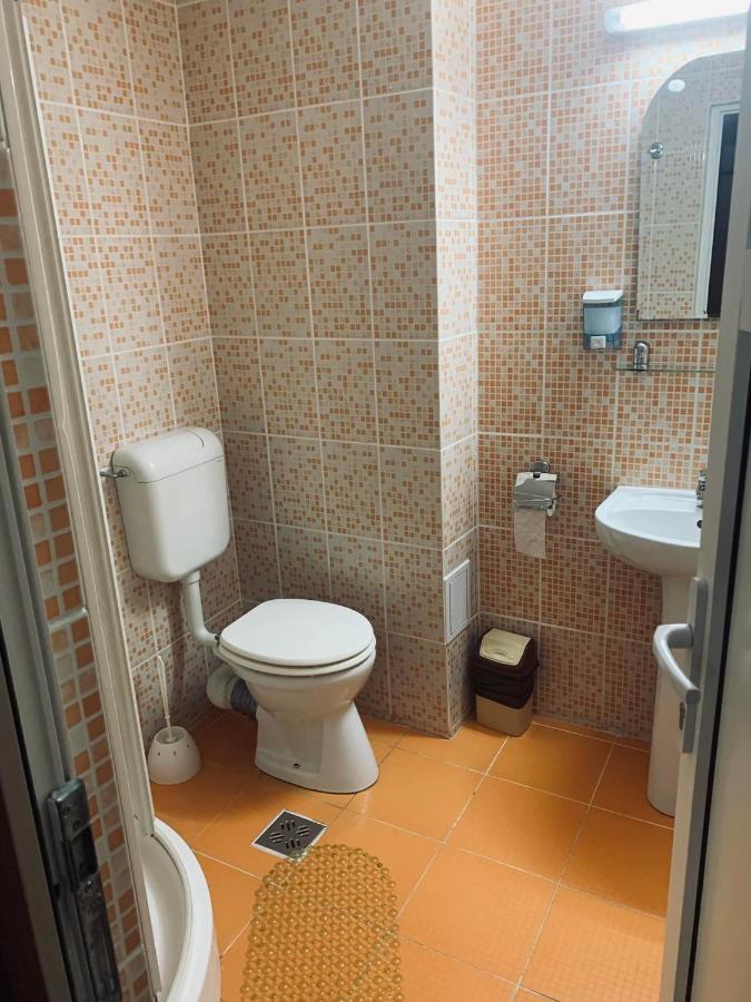 Pensiunea Pastravul Hotel Cartisoara Luaran gambar