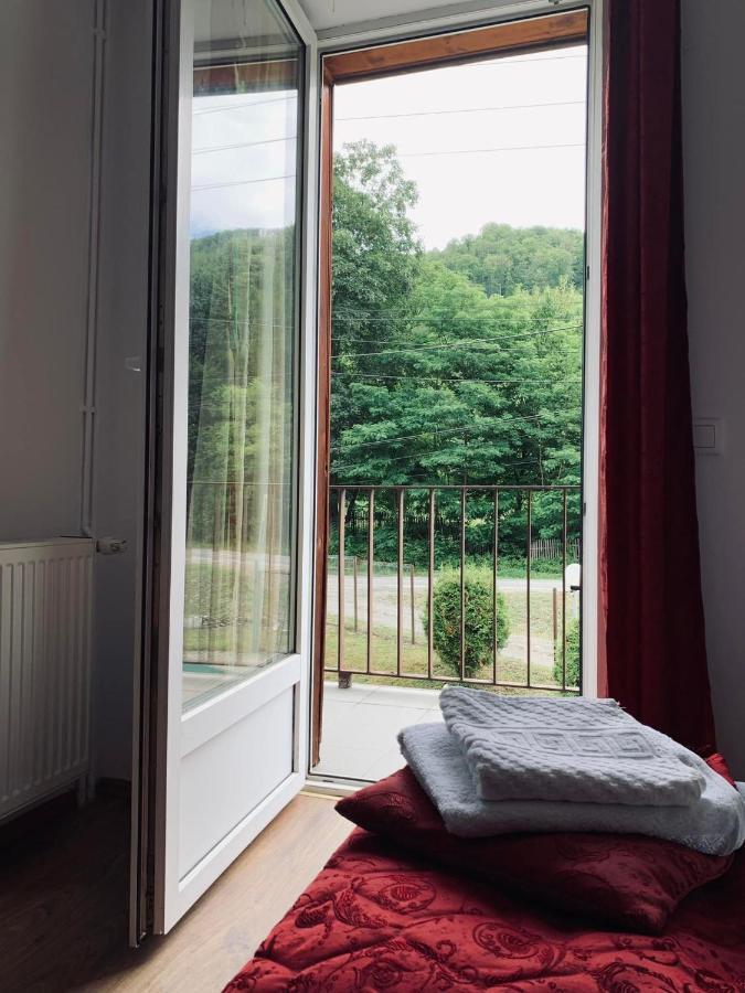Pensiunea Pastravul Hotel Cartisoara Luaran gambar