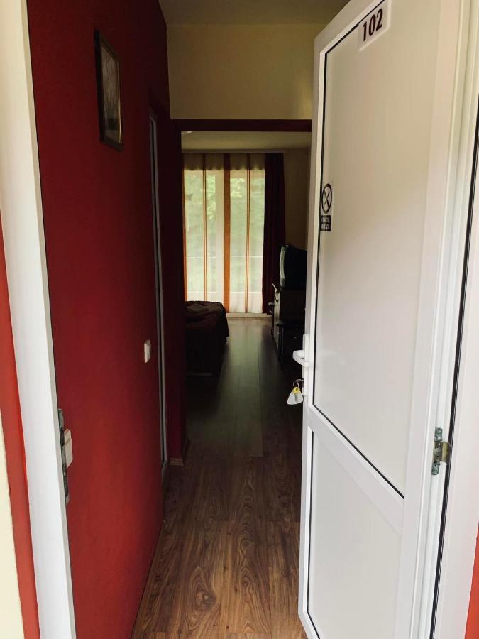 Pensiunea Pastravul Hotel Cartisoara Luaran gambar