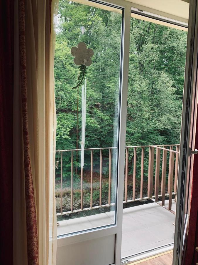 Pensiunea Pastravul Hotel Cartisoara Luaran gambar
