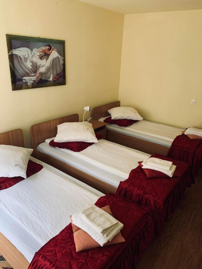 Pensiunea Pastravul Hotel Cartisoara Luaran gambar