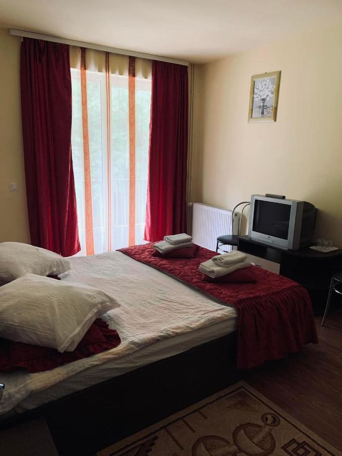 Pensiunea Pastravul Hotel Cartisoara Luaran gambar