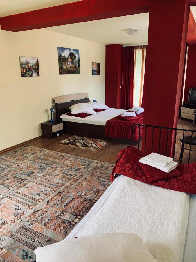 Pensiunea Pastravul Hotel Cartisoara Luaran gambar