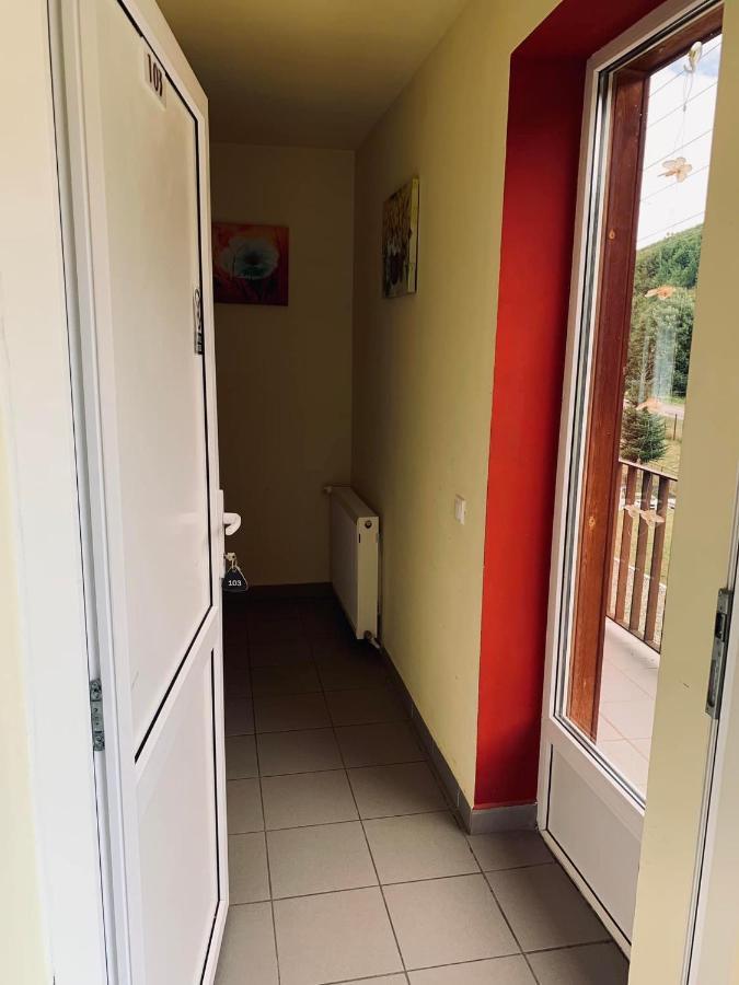 Pensiunea Pastravul Hotel Cartisoara Luaran gambar