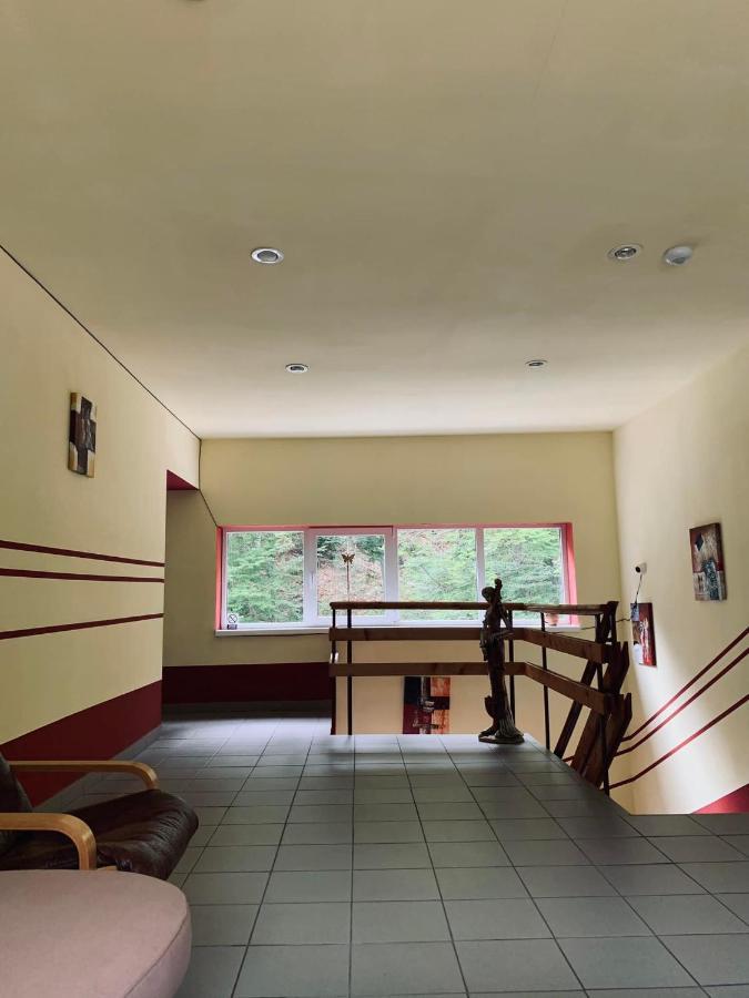 Pensiunea Pastravul Hotel Cartisoara Luaran gambar