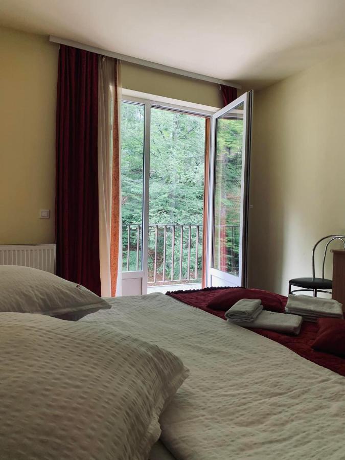 Pensiunea Pastravul Hotel Cartisoara Luaran gambar