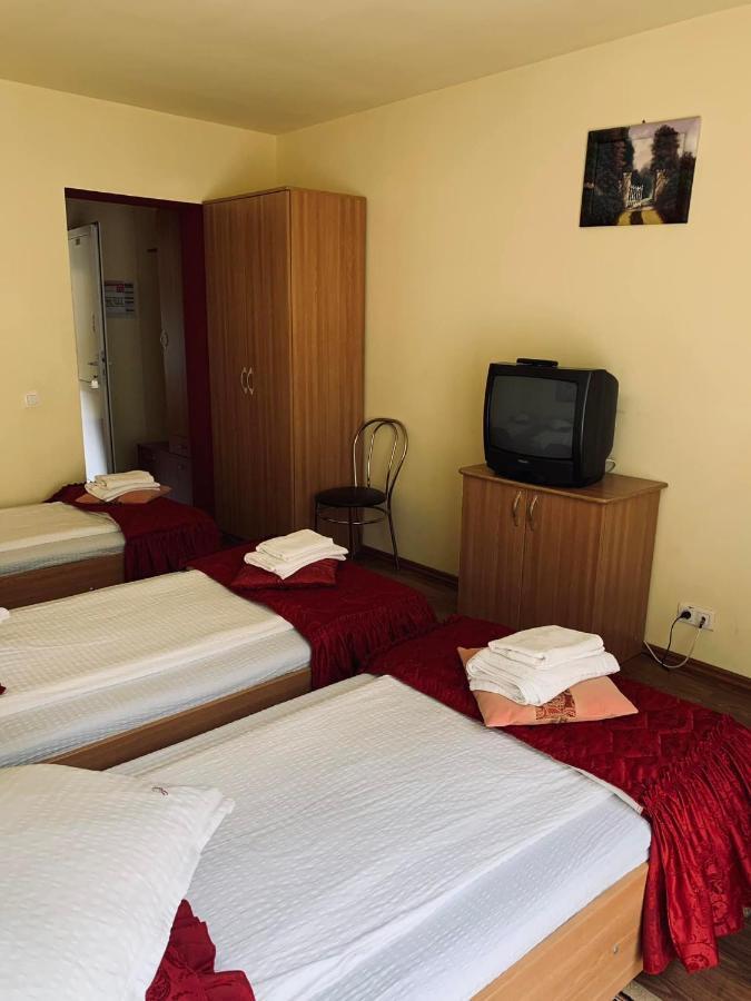 Pensiunea Pastravul Hotel Cartisoara Luaran gambar
