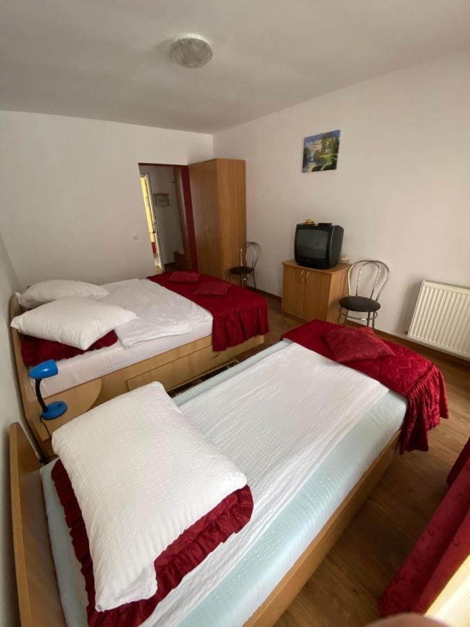 Pensiunea Pastravul Hotel Cartisoara Luaran gambar