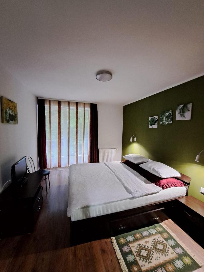 Pensiunea Pastravul Hotel Cartisoara Luaran gambar