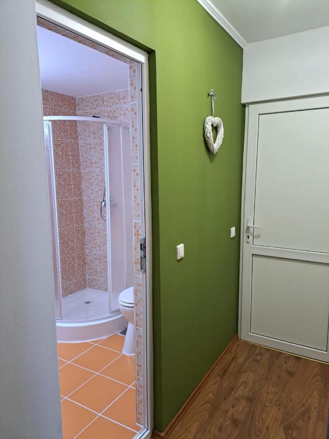 Pensiunea Pastravul Hotel Cartisoara Luaran gambar
