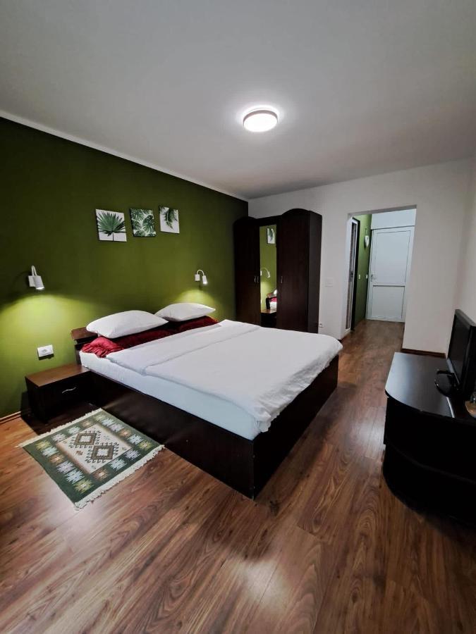 Pensiunea Pastravul Hotel Cartisoara Luaran gambar